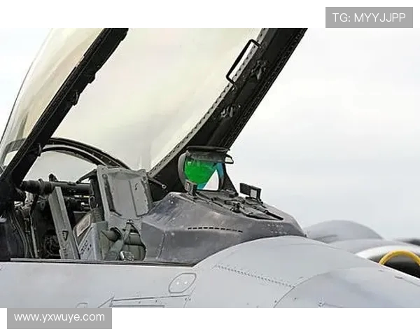 战斗机座舱盖的抗高速鸟击性能