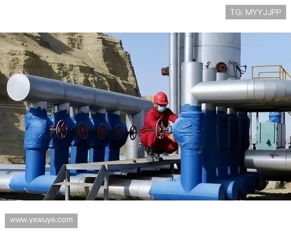 航空煤油在极低温环境下的流动性测试